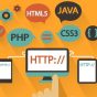 Web Developer là gì? Lộ trình để trở thành Web Developer